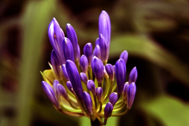 球员状态等 球员状态等