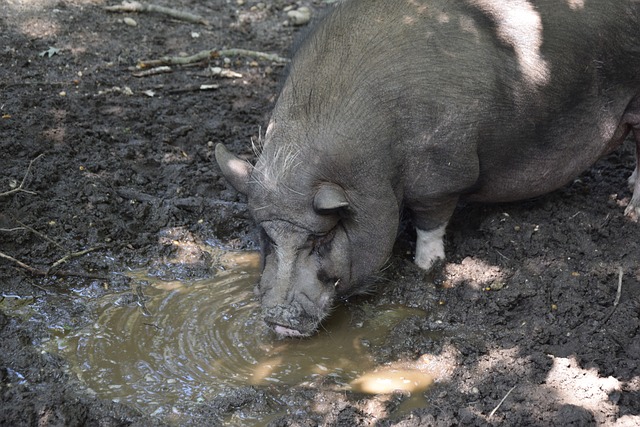 后场问题却 后场问题却
