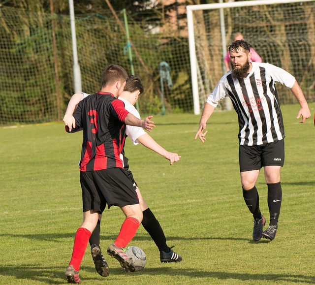 的掌握能力 的掌握能力