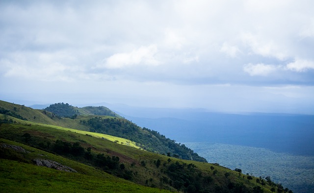 剖析他的心 剖析他的心